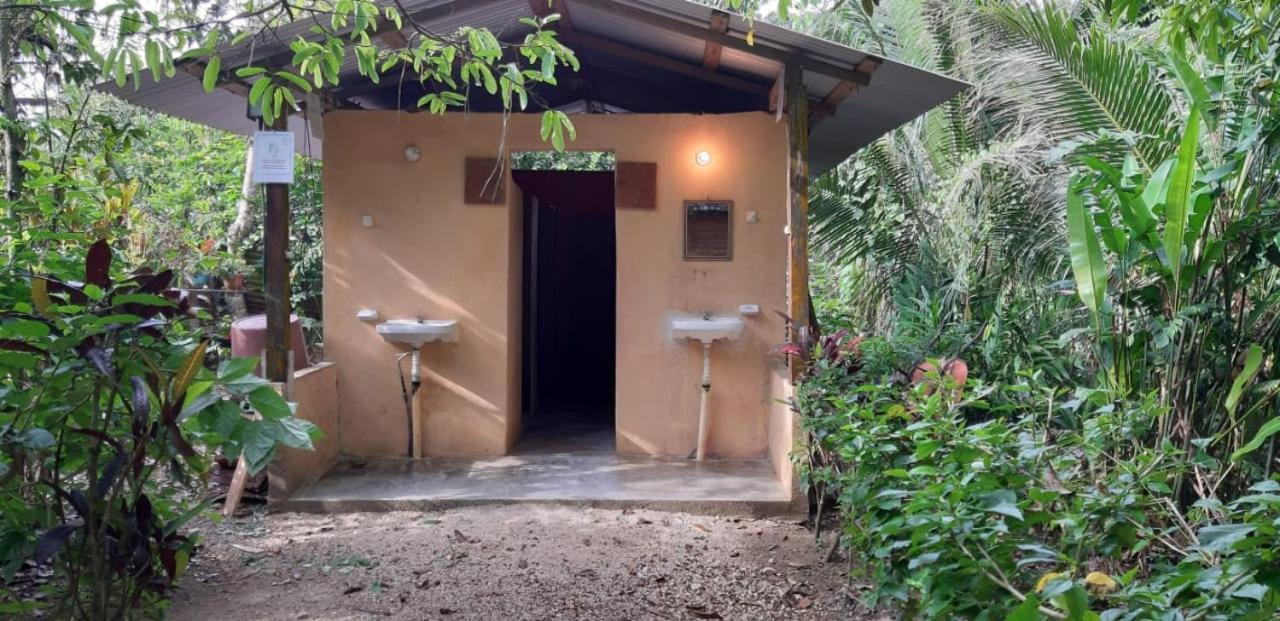 فندق Centro Ecoturistico Ya'Ajche Lacanjá المظهر الخارجي الصورة