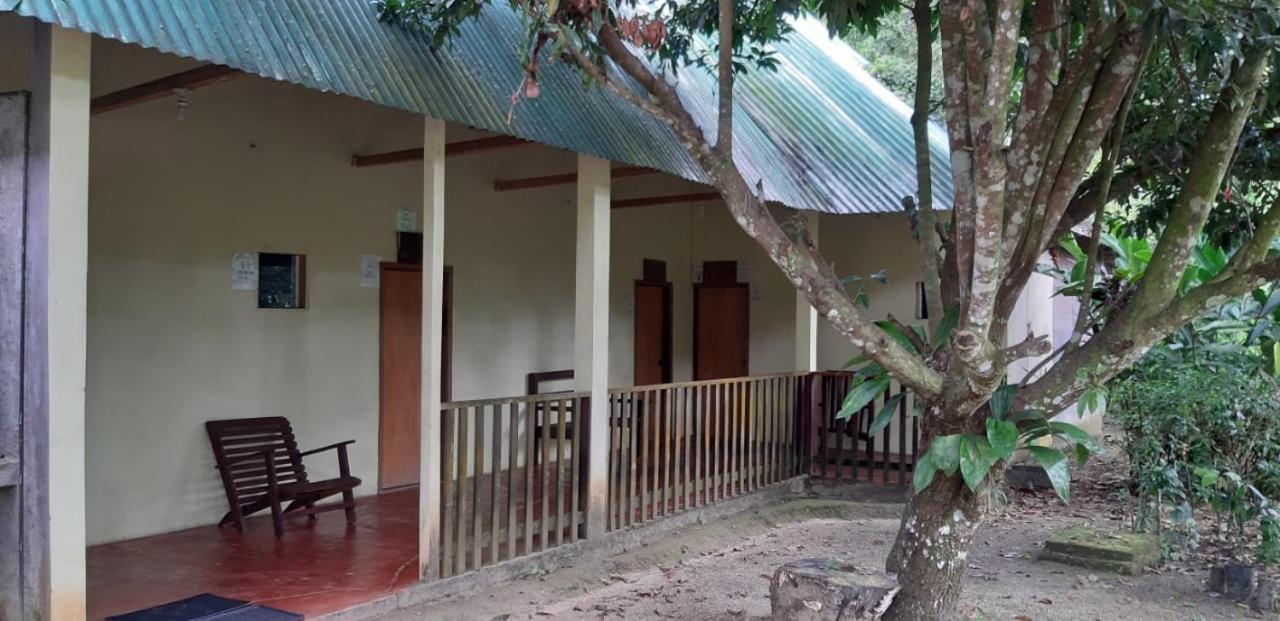فندق Centro Ecoturistico Ya'Ajche Lacanjá المظهر الخارجي الصورة