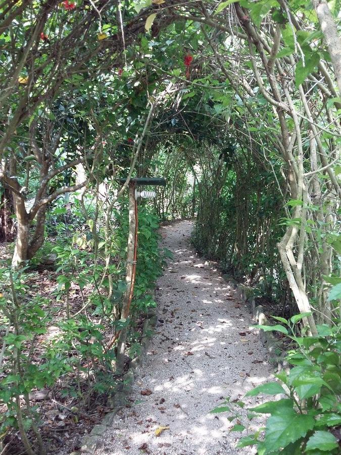 فندق Centro Ecoturistico Ya'Ajche Lacanjá المظهر الخارجي الصورة
